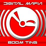 Portada para "Boom Ting!"