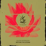 Portada para "Before The Storm"