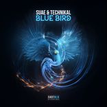 Artwork for "Blue Bird"