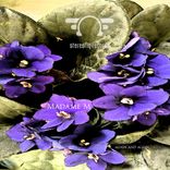 Artwork for "Again & Again"