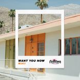 Artwork for "Want You Now"