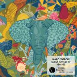 Artwork for "Silent Picture Remixes"