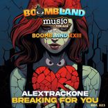 Artwork für "Breaking For You"