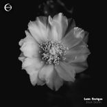 Artwork für "Brain Storm"