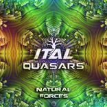 Artwork for "Natural Forces"