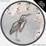 Artwork for "Dash In Between"