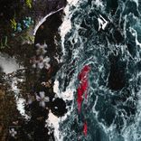 Artwork for "The How Will Show Up"