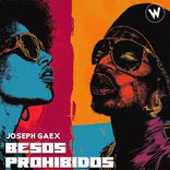 Artwork for "Besos Prohibidos"