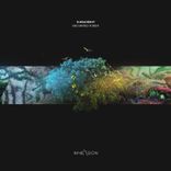 Artwork for "Enchanted Forest"