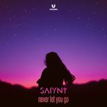 Artwork for "Never Let You Go"