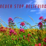 Artwork for "Never Stop Believing"