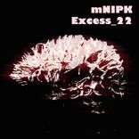 Artwork voor "Excess_22"
