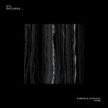 Your Eyes Look at Me