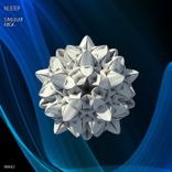 Artwork für "Singular"