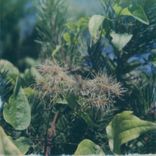 Artwork for "This Little Light of Mine"