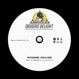 Artwork voor "Not A Gizzmo"