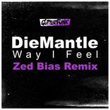 Artwork für "Way I Feel (Zed Bias Remix)"