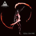 Artwork voor "Soul On Fire"