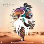 Artwork voor "Teri Gata"