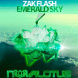 Artwork für "Emerald Sky"