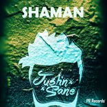 Artwork voor "Shaman"