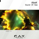 Portada para "Sound of Sea (original mix)"