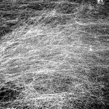 Bzugu (Original Mix)