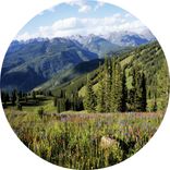 Artwork for "1204 EP"