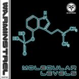 Artwork for "Molecular Levels"