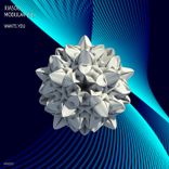 Artwork for "Wants You"