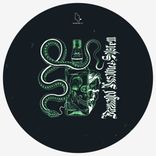 Portada para "Damaged Nervous System"