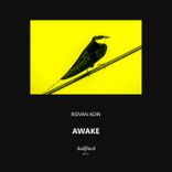 Artwork for "Awake"
