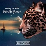 Artwork voor "Into The Groove"