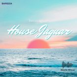 House Jaguar