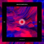 Artwork für "Analog Sampler 04"