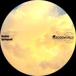 Artwork voor "Springseil"