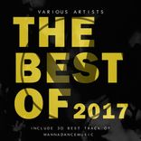 Artwork voor "The Best Of 2017"