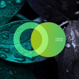 Portada para "Together"