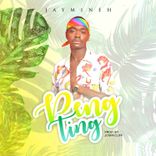 Artwork für "Peng Ting"