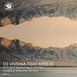 Artwork for "It's Not Right But It's Ok (Dazzle Drums Remix)"