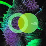 Artwork for "Freedom"