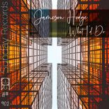 Artwork for "What I'd Do"