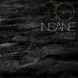 Artwork for "Insane"