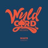 Portada para "Enemy"