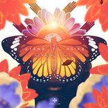 Artwork for "Over You"