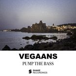 Artwork for "Pump The Bass"