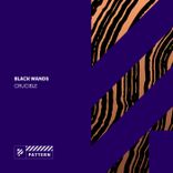 Artwork voor "Crucible"