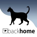 Artwork for "Pads and Potatoes"