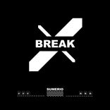 Portada para "Break"