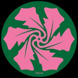 Artwork for "Echoing"